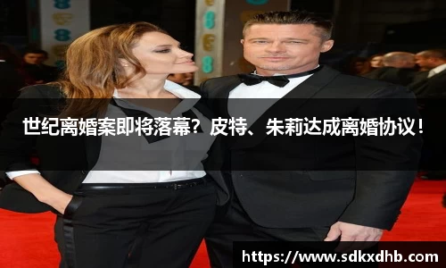 NG28世纪离婚案即将落幕？皮特、朱莉达成离婚协议！